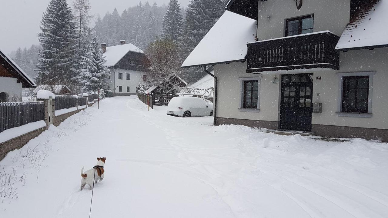 Apartman Irvin Kranjska Gora Exteriör bild